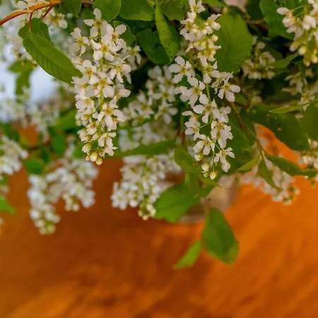 Apartament Pod Tatrami